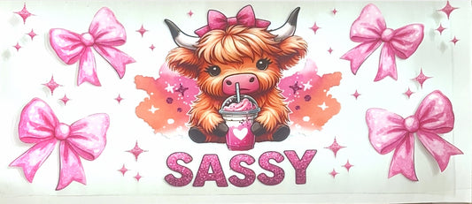 Sassy Highland Cow
