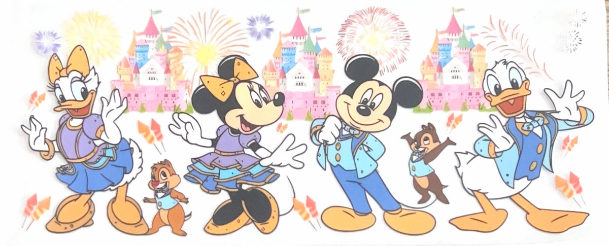 Cartoon Wraps CT 15