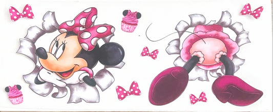 Cartoon Wraps  CT 21